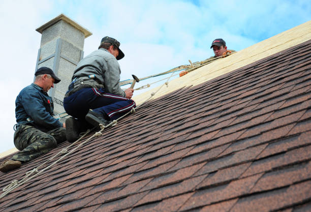 Best Roof Gutter Cleaning  in Cornersville, TN